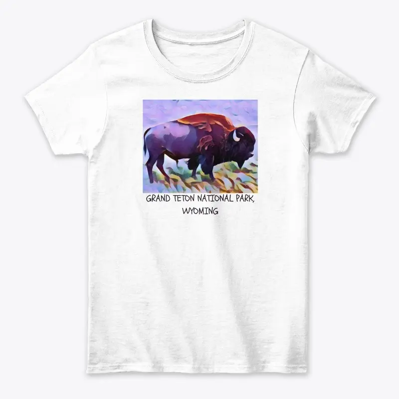 Grand Teton National Park Tee Shirt